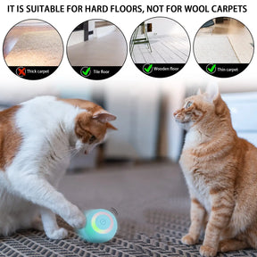 Interactive Rolling Ball For Pets