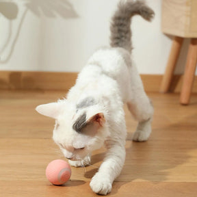 Interactive Rolling Ball For Pets