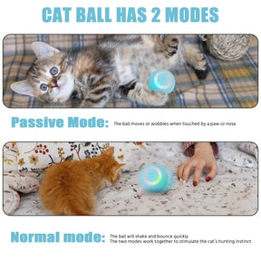 Interactive Rolling Ball For Pets