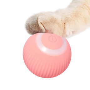 Interactive Rolling Ball For Pets