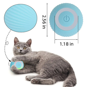 Interactive Rolling Ball For Pets